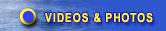 Whale Videos and Photos