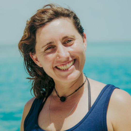Judit - WildQuest | Wild Dolphin Swims Bahamas