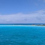 the tip of a Caribbean Island showing some palm trees, sandy beaches and turquoise waters.