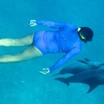 a diver and a dolphin swimming together