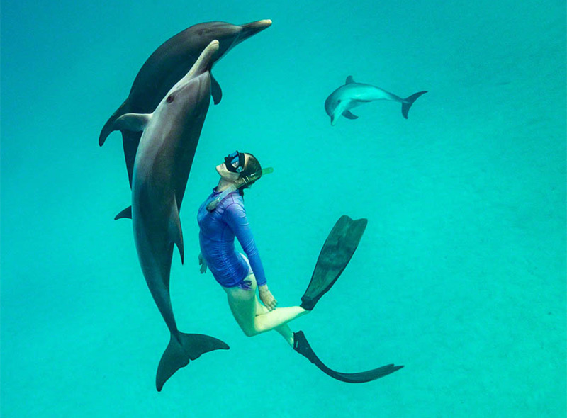 Kathleen dancing with dolphin