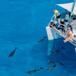 Drone photo from a catamaran in the ocean with people on it and surrounded by dolphins.