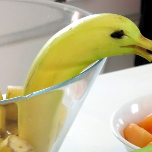 Dolphin banana