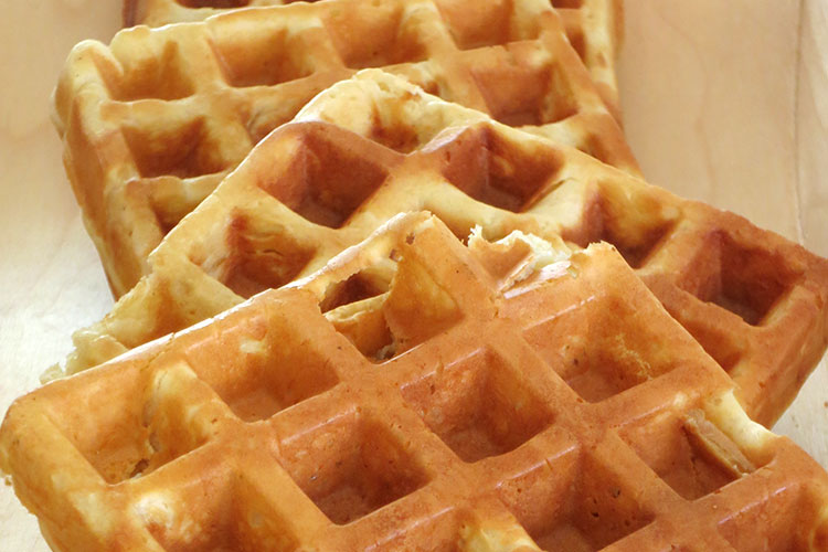 Fresh waffles WildQuest Wild Dolphin Swims Bahamas