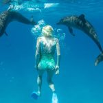 woman swimming with two dolphins