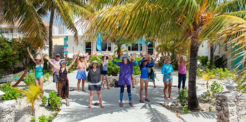 group of people standing under palm trees with arms in the air