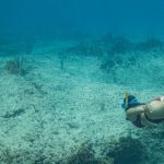 woman diving at the bottom of the ocean