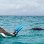 Woman sitting on boat, dolphins waiting for her to jump in