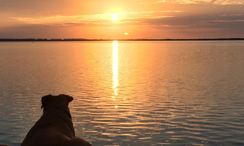 Sandy sitting at the beach watching the sunset