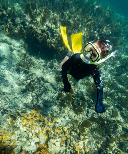 Tane learning to freedive