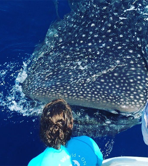 Rhonda & Whale Shark