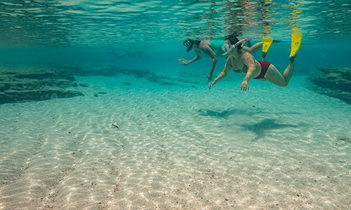two people snorkeling in the Bahamas